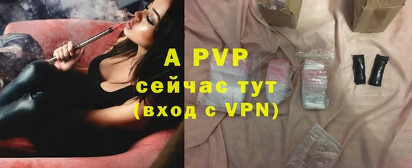 ешки Михайлов