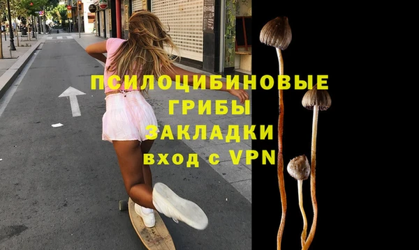 ешки Михайлов